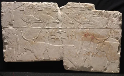 Rilievo di uomini che portano uccelli e bestiame, c.2311-2281 a.C.