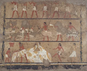 Scene di allevamento di bestiame, macellazione, portatori di offerte e sacrificio, Tomba di Iti e Neferu