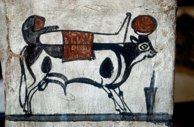 Dettaglio di un sarcofago in legno con una raffigurazione del toro sacro, Api, che trasporta una mummia sulla schiena
