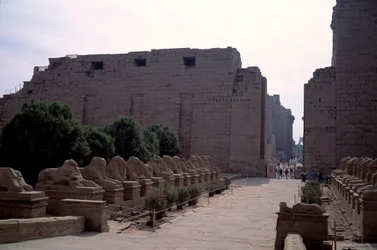 Antichità egizia: viale (dromos) dei criosphinx a Karnak, Luxor, Egitto