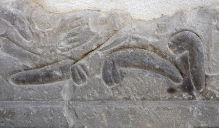 Pile di genitali maschili tagliati dal nemico, Tempio di Horus, Edfu