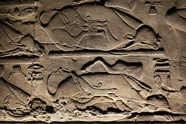 Tempio di Luxor: Mucche sacrificate