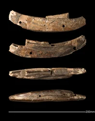 Modello di barca, Hierakonpolis, Periodo Dinastico Antico (c. 2950 - c. 2575 a.C.)