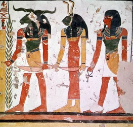 Tomba di Nefertari con le divinità Knoum e Sekeuti (affresco)