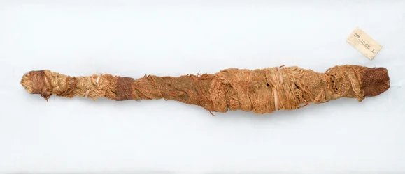 Mummia di un coccodrillo, trovata a Manfalont, 305-30 a.C.