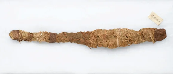 Mummia di coccodrillo, trovata a Manfalont, 305 a.C.-30 a.C.