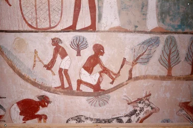 Scena di agricoltura (mietitura e taglio del legno), dalla tomba dello scriba Menna, Egitto, Sheikh Abd el-Qurna, Valle dei Nobili