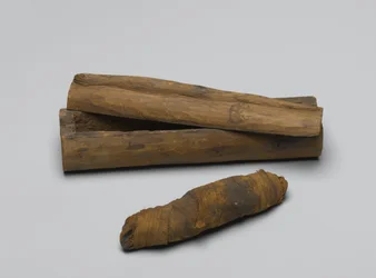 Piccola bara di serpente, con mummia, 664 a.C.-322 a.C.