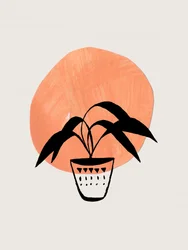 Pianta in vaso in stile boho