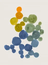 Forme organiche colorate