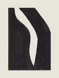 Curve nere dinamiche