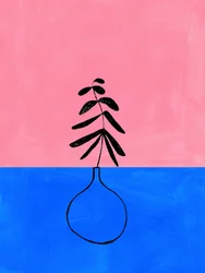 Rosa, Blu, Botanico