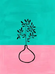 Vaso botanico rosa e verde acqua