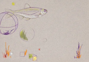 Floating, 2014 (matita acquerellata e foglia d
