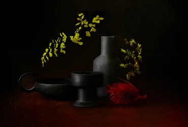 Natura morta botanica in tonalità scure