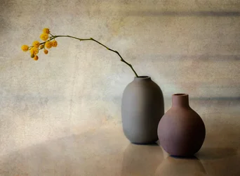 Vasi da fiori in stile minimalista