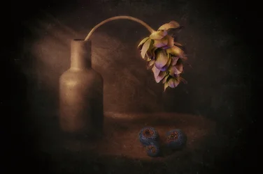 Vaso da fiori Moody