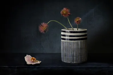 Fiori spigolosi e malinconici