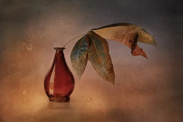Vaso rosso con foglie autunnali