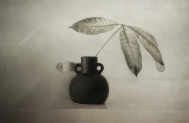 Sereno still life botanico