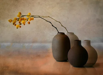 Vasi con mimosa gialla