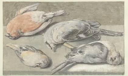Natura morta con quattro uccelli morti