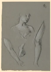 (dettaglio)