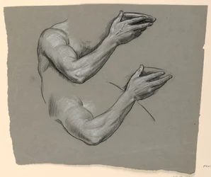 Disegno, dettagli di due braccia maschili, 1885 ca.