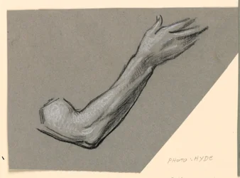 Studio di un Braccio