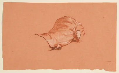 Studio di drappeggio per torso maschile in costume