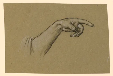 Mano sinistra che indica, polso, avambraccio fino all
