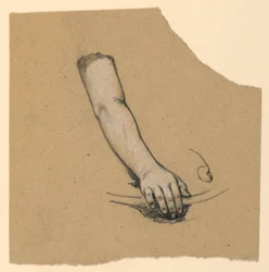 Studio della mano fino al bicipite