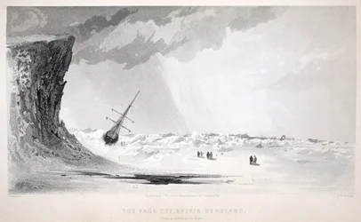 Il branco al largo di Sylvia Headland, illustrazione da 