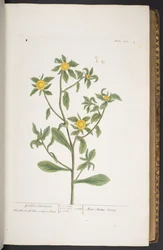 Tavola 272, da 