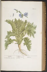 Tavola 378, da 