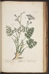 Tavola 472, da 
