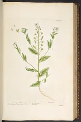 Tavola 68, da 