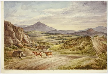 Colline di Wicklow