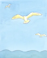 Come un gabbiano che vola senza sforzo in alto, riposando sui venti mentre guarda tutto intorno, così l