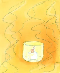 A causa del loro Battesimo, le anime sono state cambiate; e coloro che entrano in Paradiso sono 