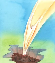 Per Cristo senza peccato, venire in un mondo peccaminoso fu come saltare in una fossa di liquami, 2005