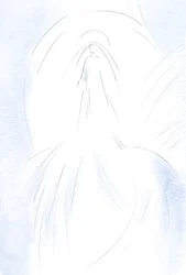 Mi mostrò un assaggio della magnificenza e della gloria della Sua cara, Santa Madre