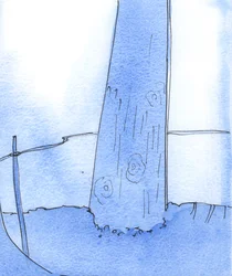Se rimango sempre ai piedi della croce, ricorderò che tutte le grazie di cui ora godo sono state ottenute attraverso il tormento solitario di Cristo sul Calvario, 2003