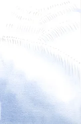 È meraviglioso che un