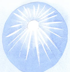 Chi è grato per il sole è grato per il suo calore e la sua luce, così chi ama Dio dovrebbe anche amare la volontà di Dio.