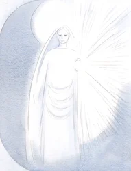 Nostra Signora apparve davanti a me, nella sua abbagliante bellezza celeste