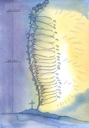 La Chiesa emette germogli viventi di santità per fiorire in ogni epoca, 2003