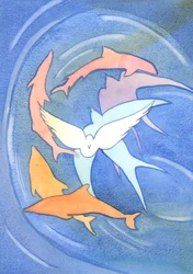 Il 