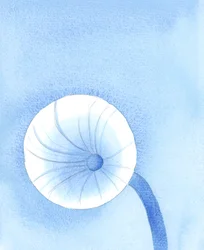 Il cibo che Dio ci mette a disposizione deve essere visto come carburante per il nostro viaggio sulla terra, 2005 (acquerello su carta)