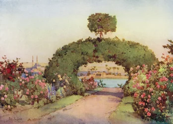 Un giardino di rose a Giza e vista del Cairo